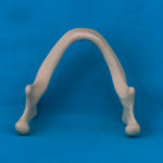 modelli dentali bimodels tailor-made dental models