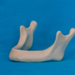 modelli dentali bimodels tailor-made dental models